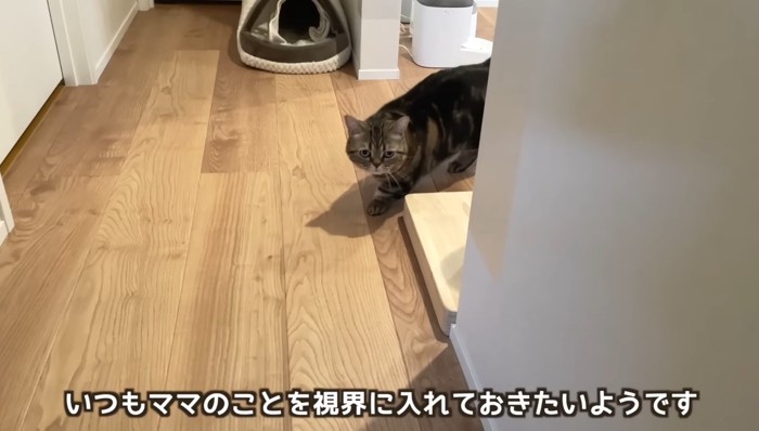 いつもママのことを視界に