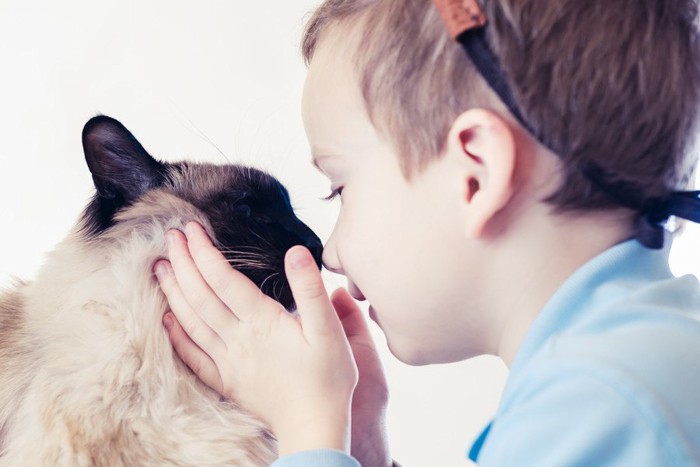 猫と鼻を付ける少年