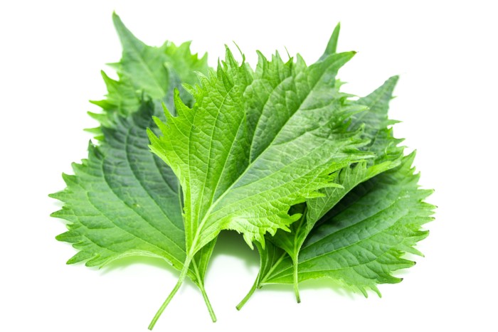 重ねて置かれた大葉のアップ