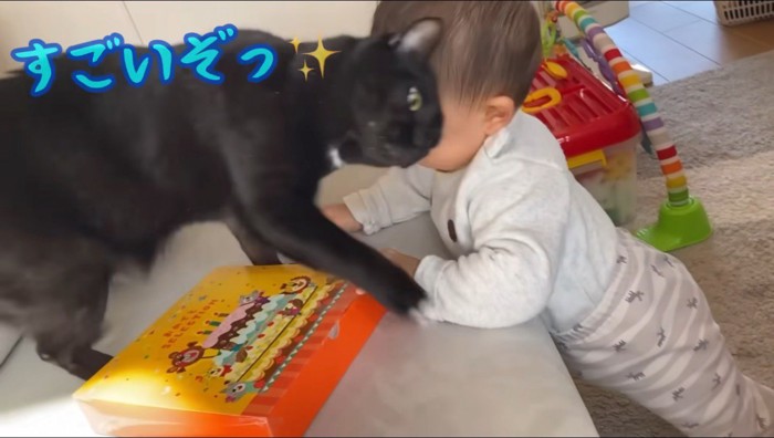 赤ちゃんに頭をすり寄せる猫