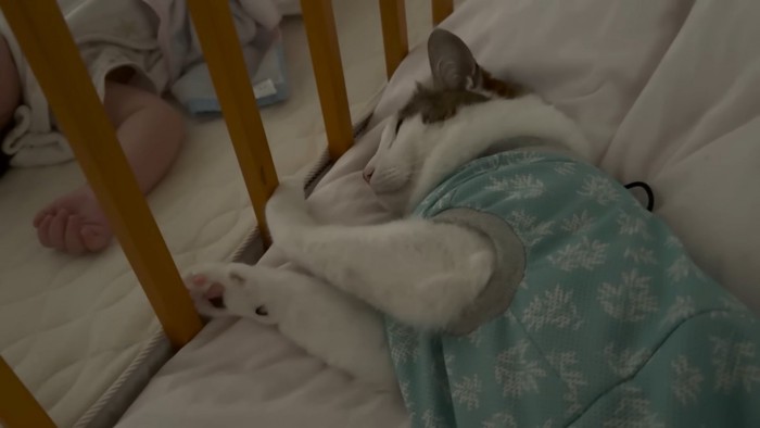 赤ちゃんの隣にいる猫
