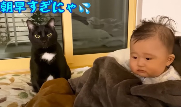 黒猫と赤ちゃん（朝はやすぎにゃ）