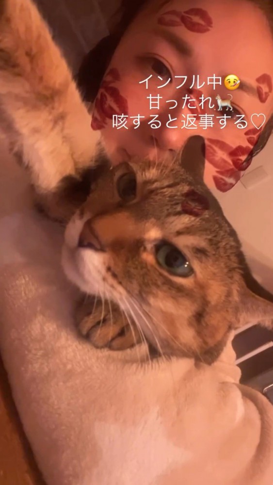 体調の悪い飼い主に寄り添う猫