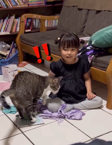 近づいてきた猫に驚きの表情を見せる女の子