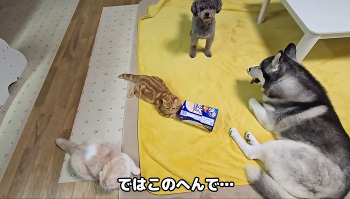 箱を囲んで