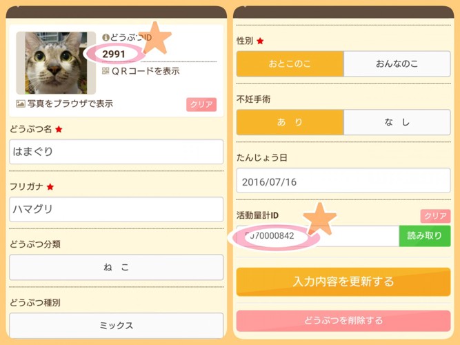 猫情報の登録画面