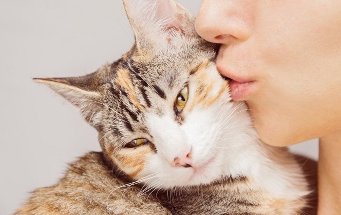 猫にキスする女性