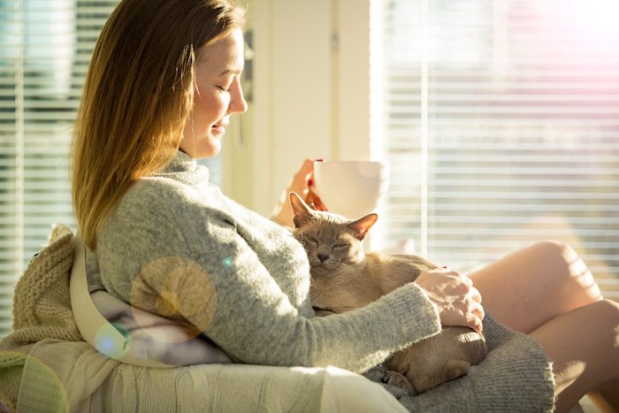 女性の膝の上で撫でられる猫