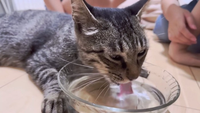 お水もちゃんと飲めて一安心