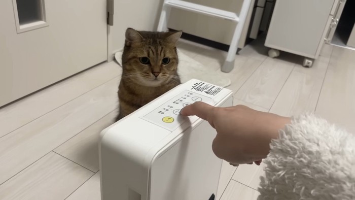 飼い主さんが指で