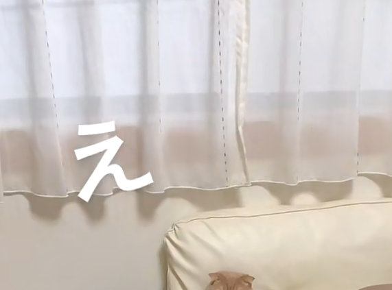 「え？」