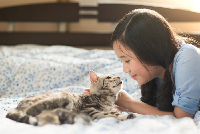 向き合う女性と猫