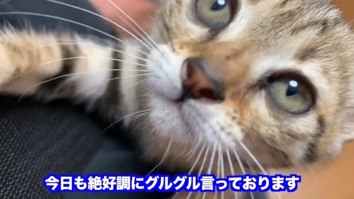 今日も絶好調