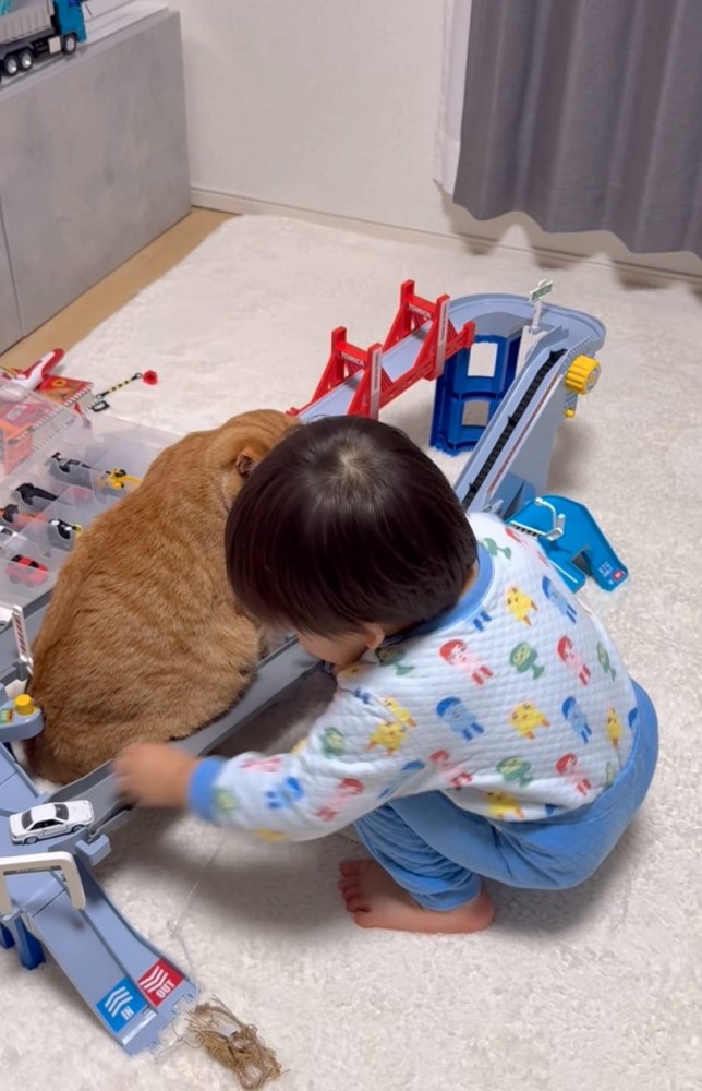 車を走らせる男の子