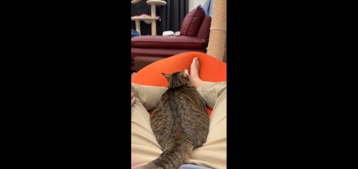 足の間