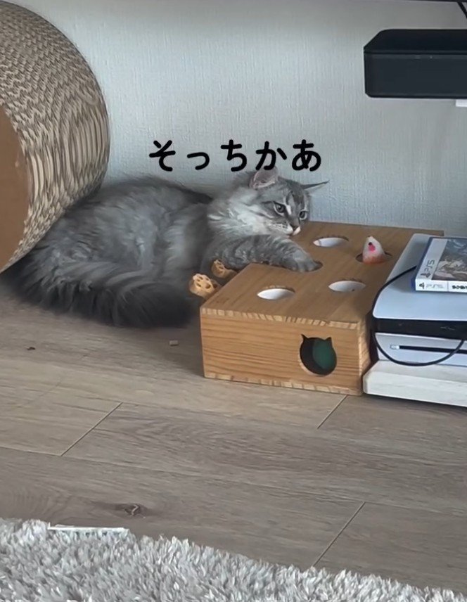 「そっちかあ」と書かれた写真