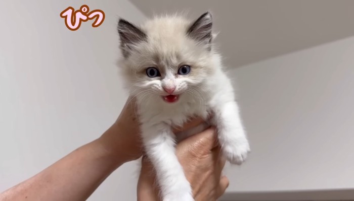 ぴっ