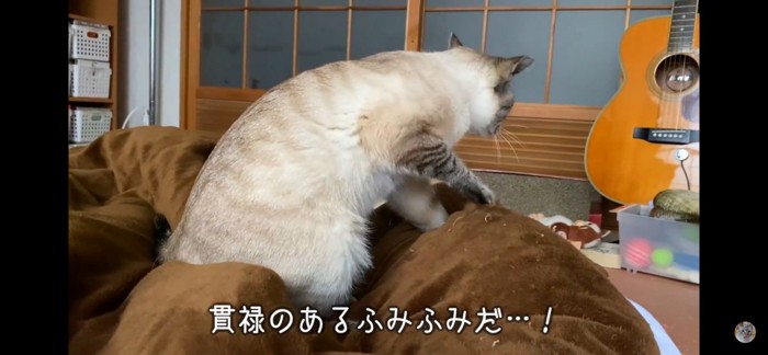 ふみふみ