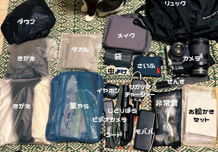 床に並べた旅行の荷物