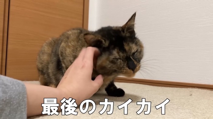 おまけのナデナデ