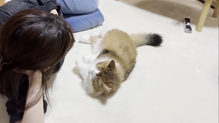 向かい合わせ