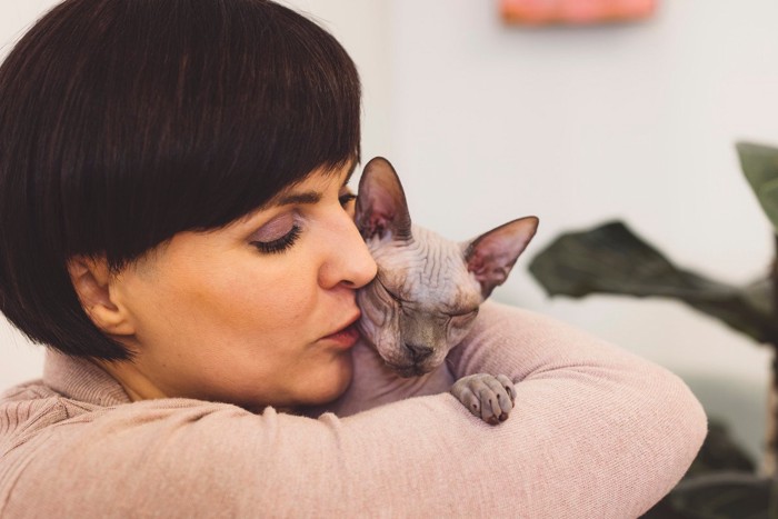 女性に抱かれるスフィンクス猫