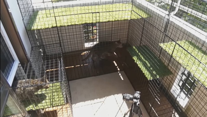 探検中