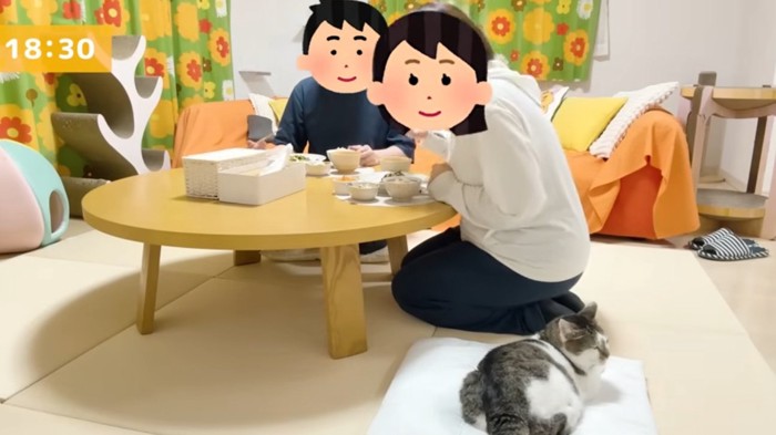 女性の隣に座っている猫