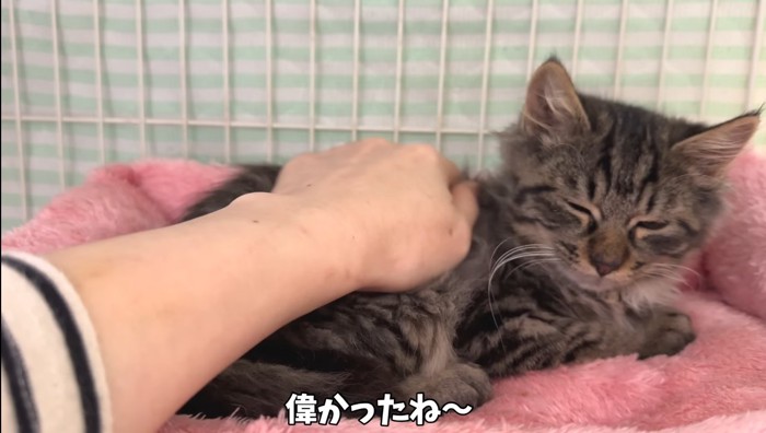 偉かったね〜