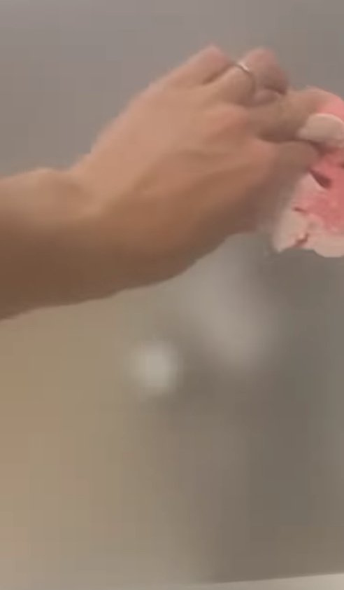 スポンジを持っている飼い主の手とガラス越しに見える猫