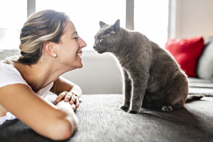 女性の顔をみる猫