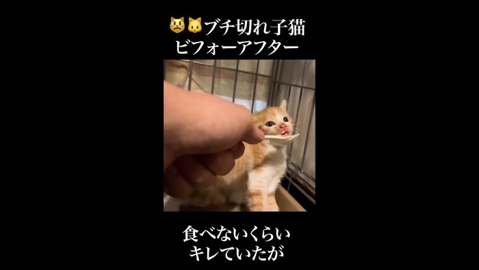 キョトンとした表情