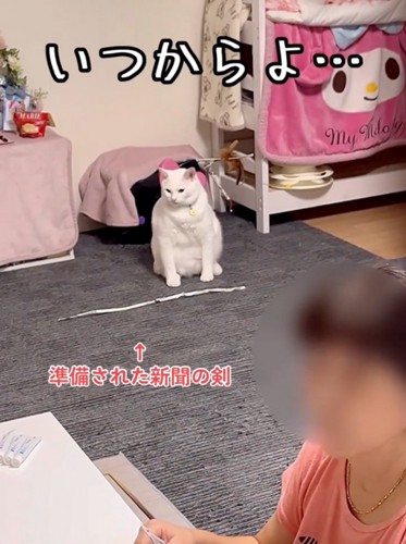 退屈そうな猫