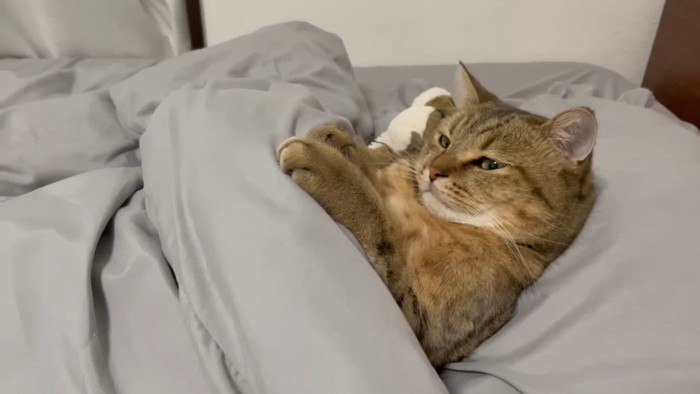 前足を添えた姿(目を開けた顔)