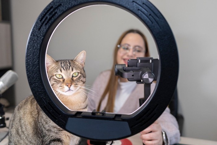 ライブストリーミング中の猫と女性