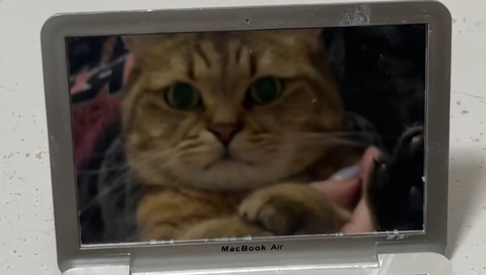 鏡のアップ