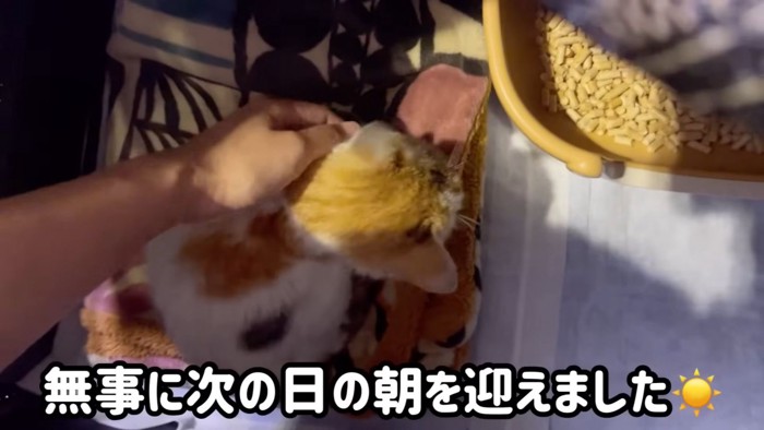 テロップ「無事に次の日の～」