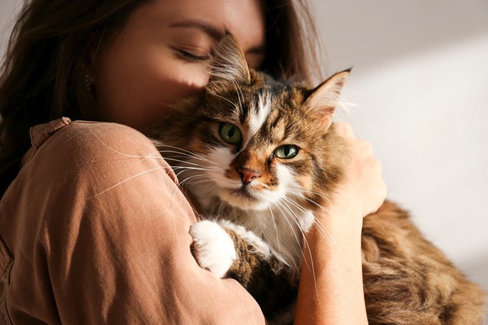 女性にハグされる猫