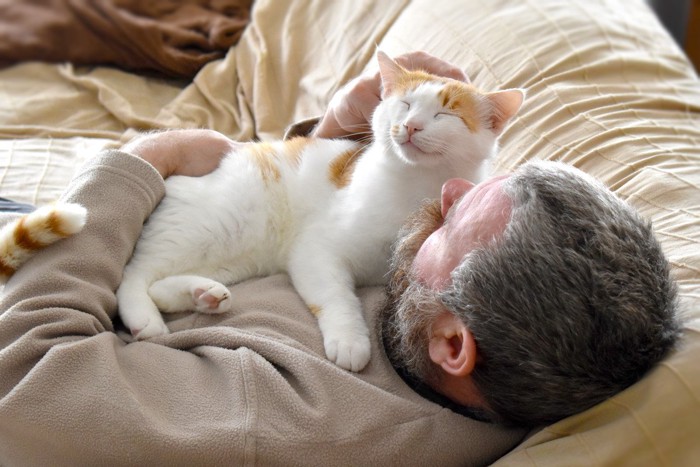 男性の上に乗って撫でられる猫