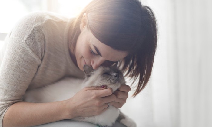 抱きしめられる猫