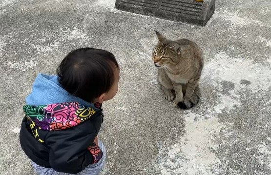 男の子に向けて鳴く猫
