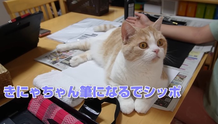 筆になるで