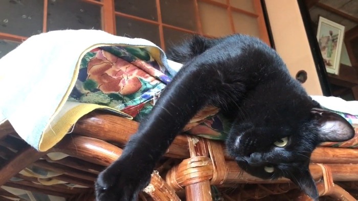 前足を伸ばした姿