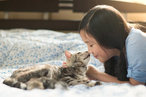 鼻にキスをする女性と猫