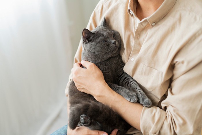 男性の腕の中で眠そうな猫