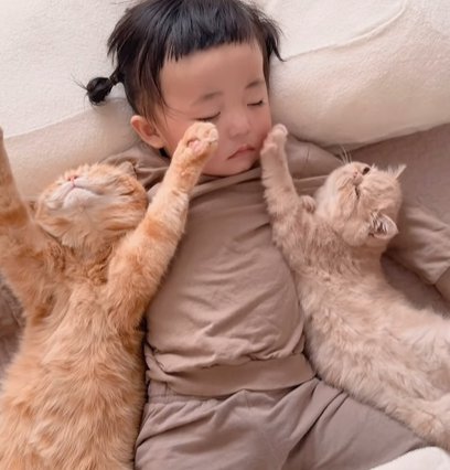 子供の顔に片手を置く猫とばんざいする猫