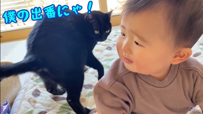 僕の出番にゃ!