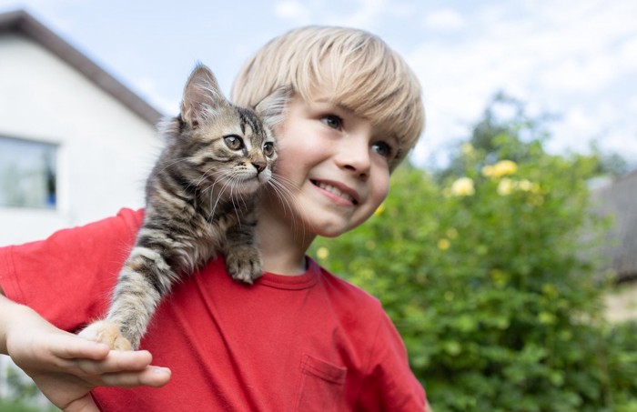 少年の肩に乗る子猫