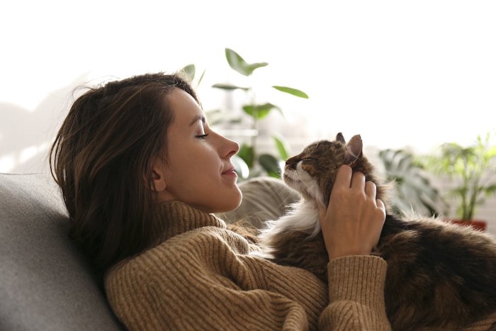 飼い主の胸の上に乗って撫でられている猫