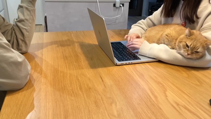 ママさんの腕の中に入ったプリンくん